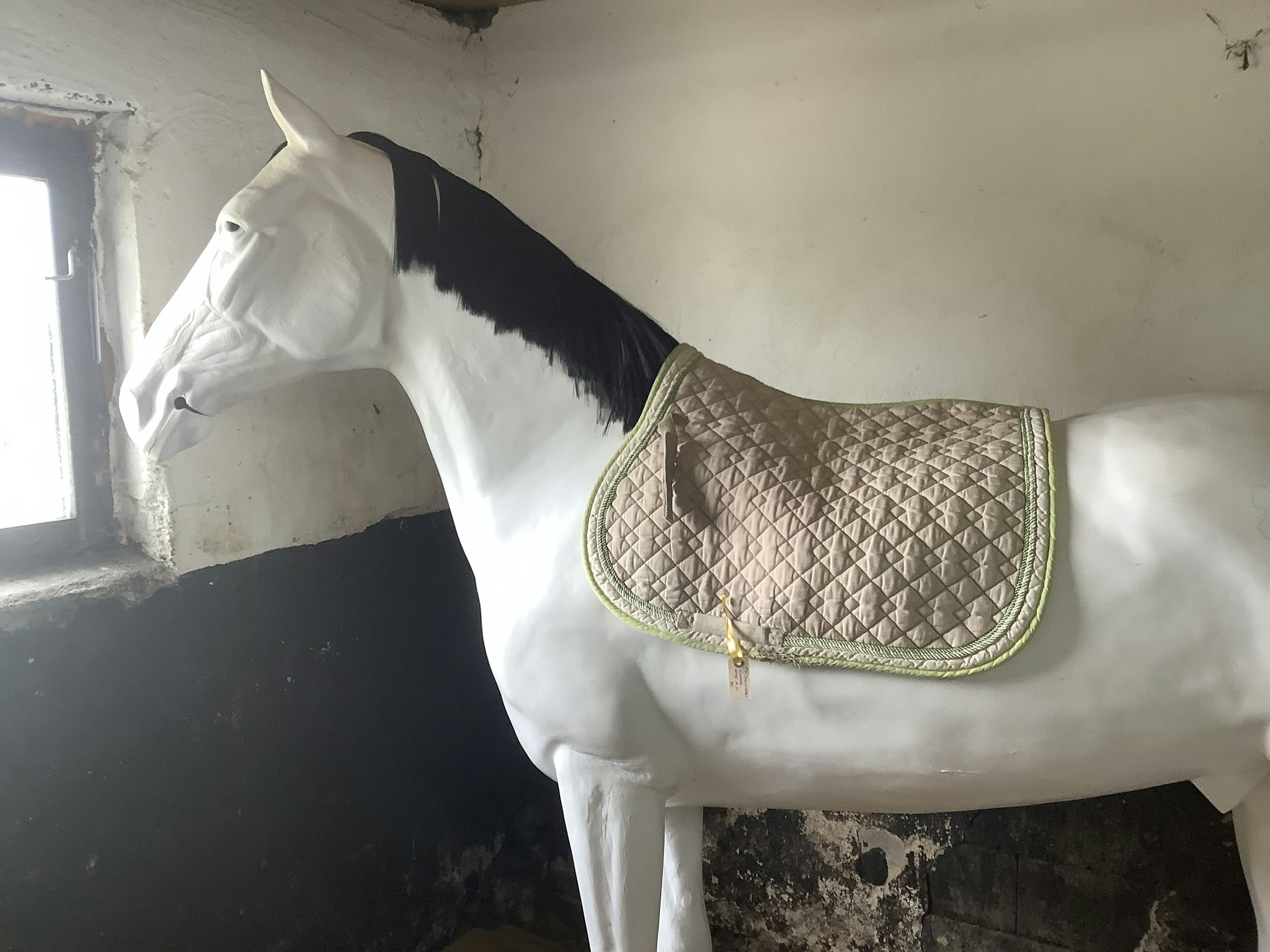 Showmaster schabrak,beige,H,F