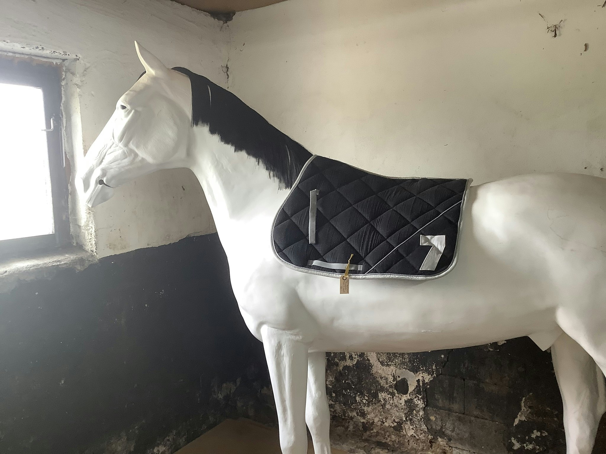 Equitheme schabrak,H,F,svart