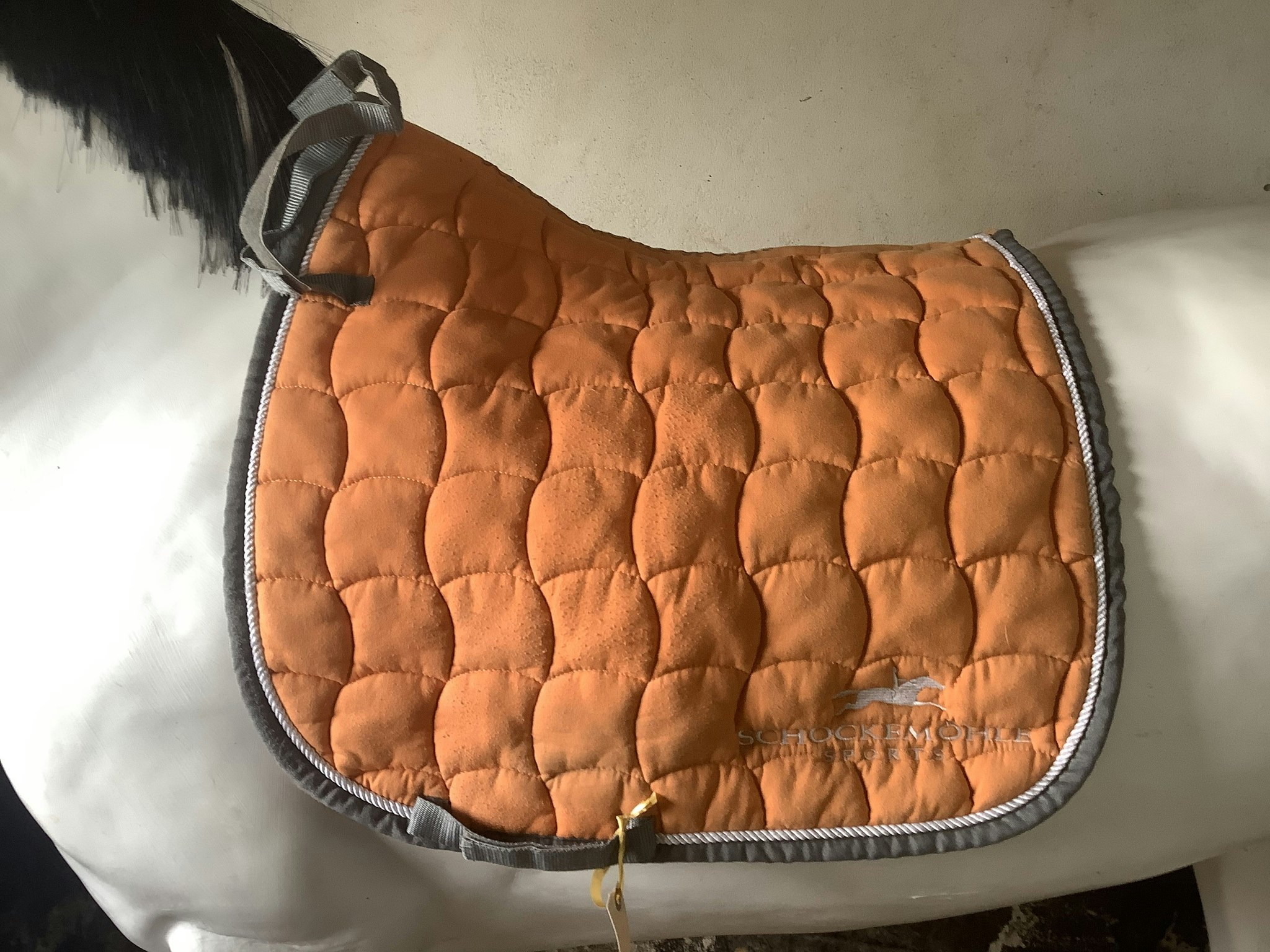 Schockemöhle,schabrak,dr,F,orange