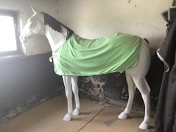 Fleecetäcke grön,115 cm,litet hål