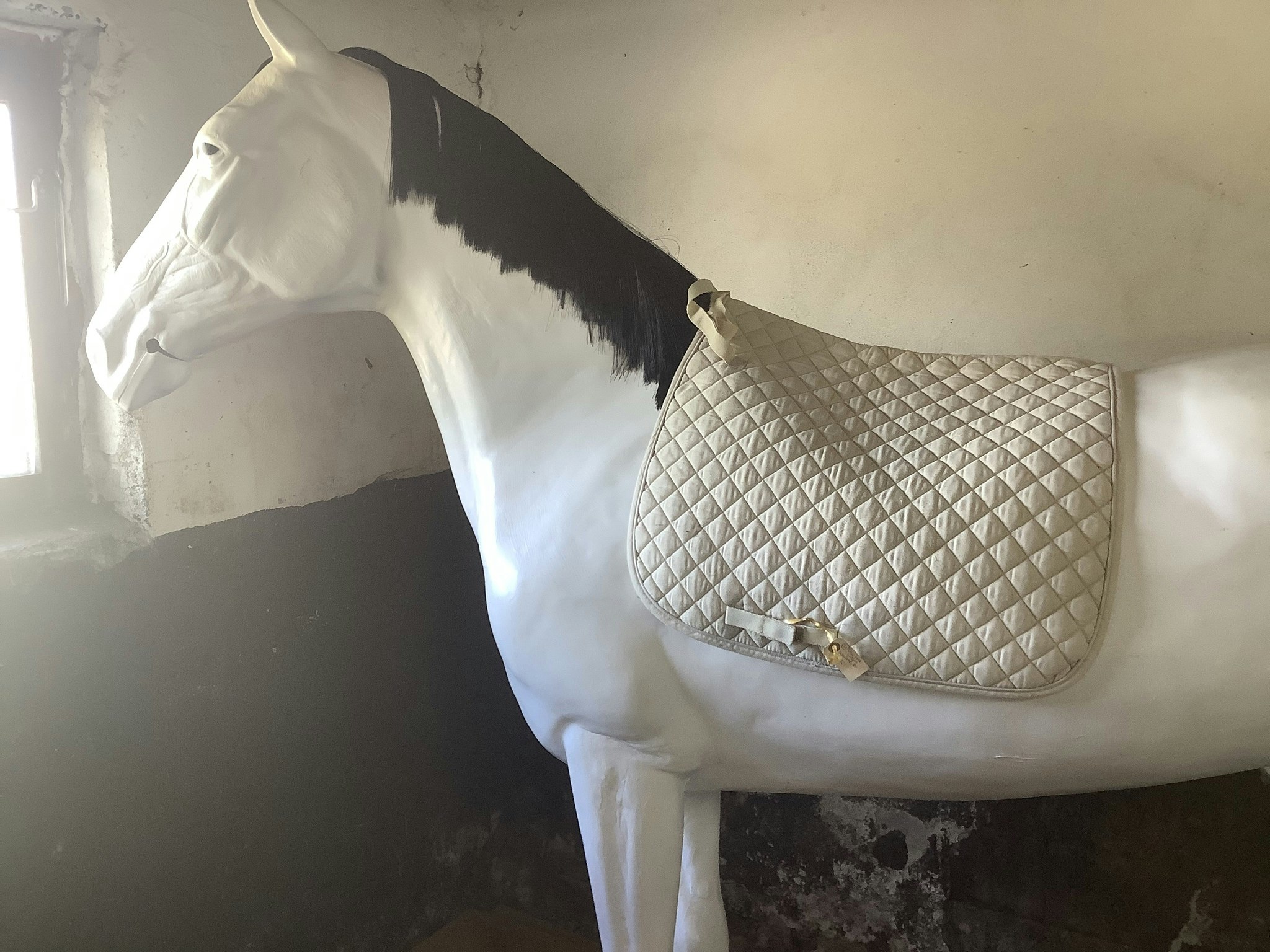View horse unigue,schabrak,dr,F