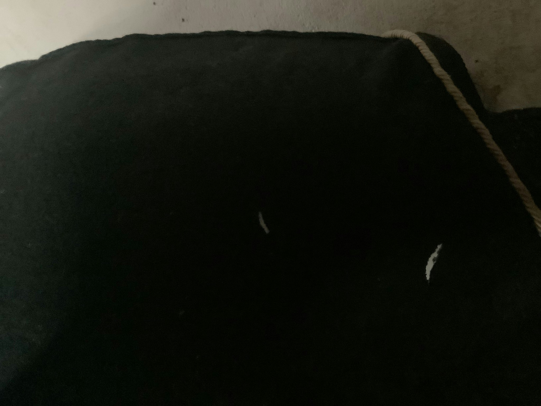 Catago,fleecetäcke,ena knäppet lite sönder,några hål,125