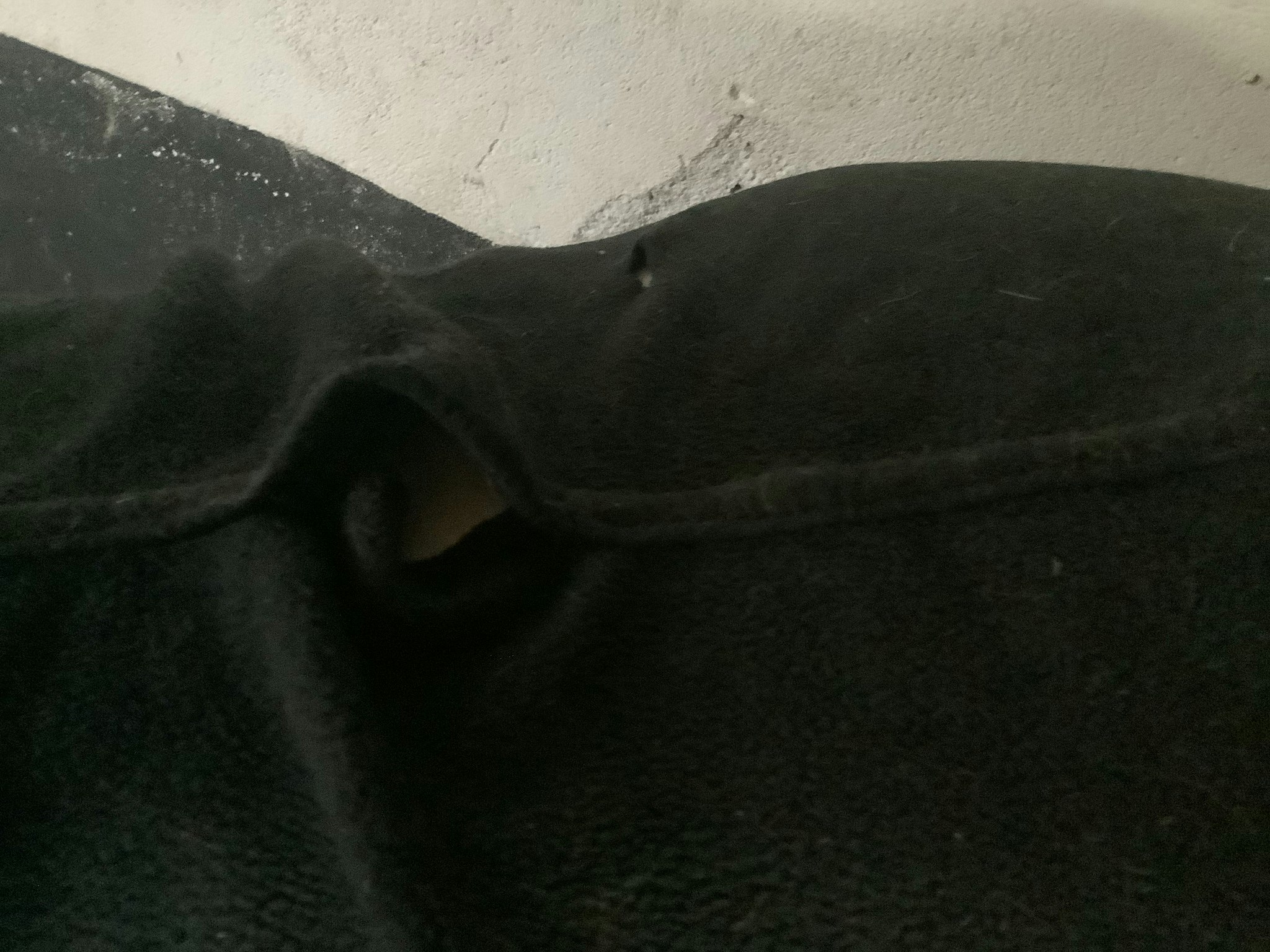 Catago,fleecetäcke,ena knäppet lite sönder,några hål,125