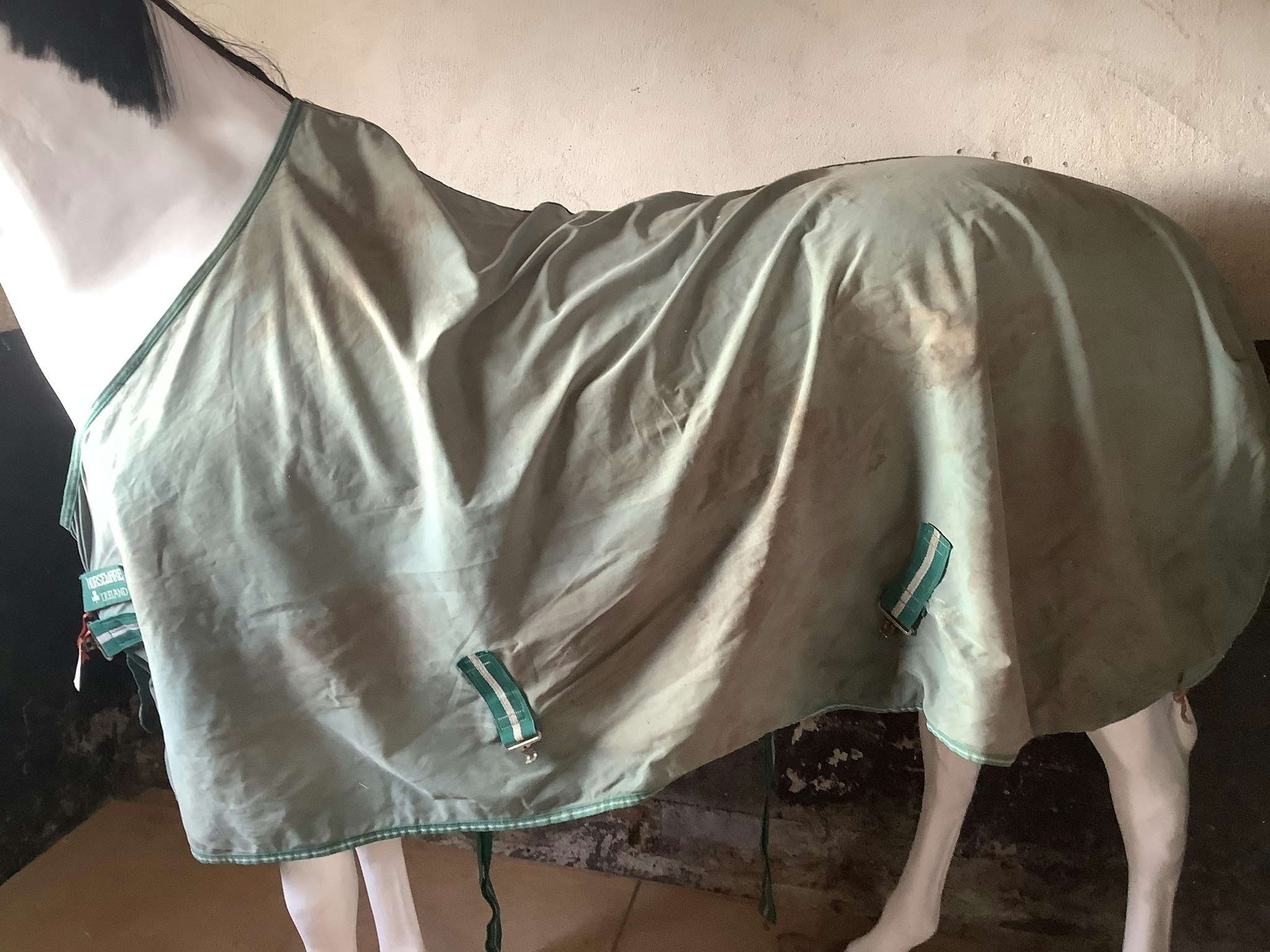 Horseware täcke,grönt,otvättat,155,någon fläck