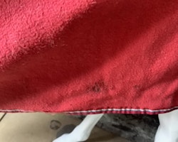 Fleecetäcke rött små fläckar,115 cm
