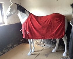 Catago fleecetäcke,rött,135 cm