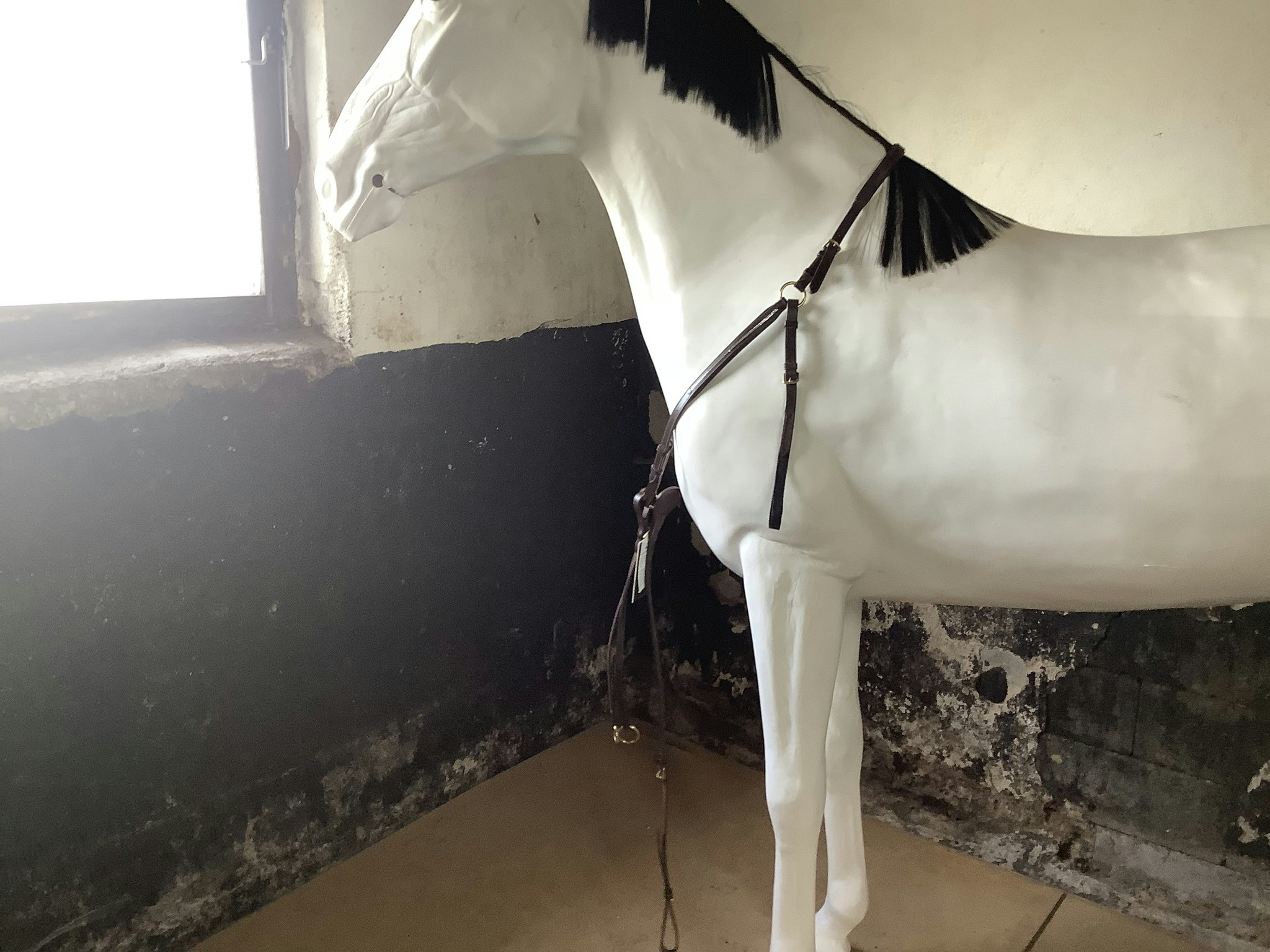 Mountain horse,meteor,mörkbrun,brösta inkl martingal,swarowski,ny,F