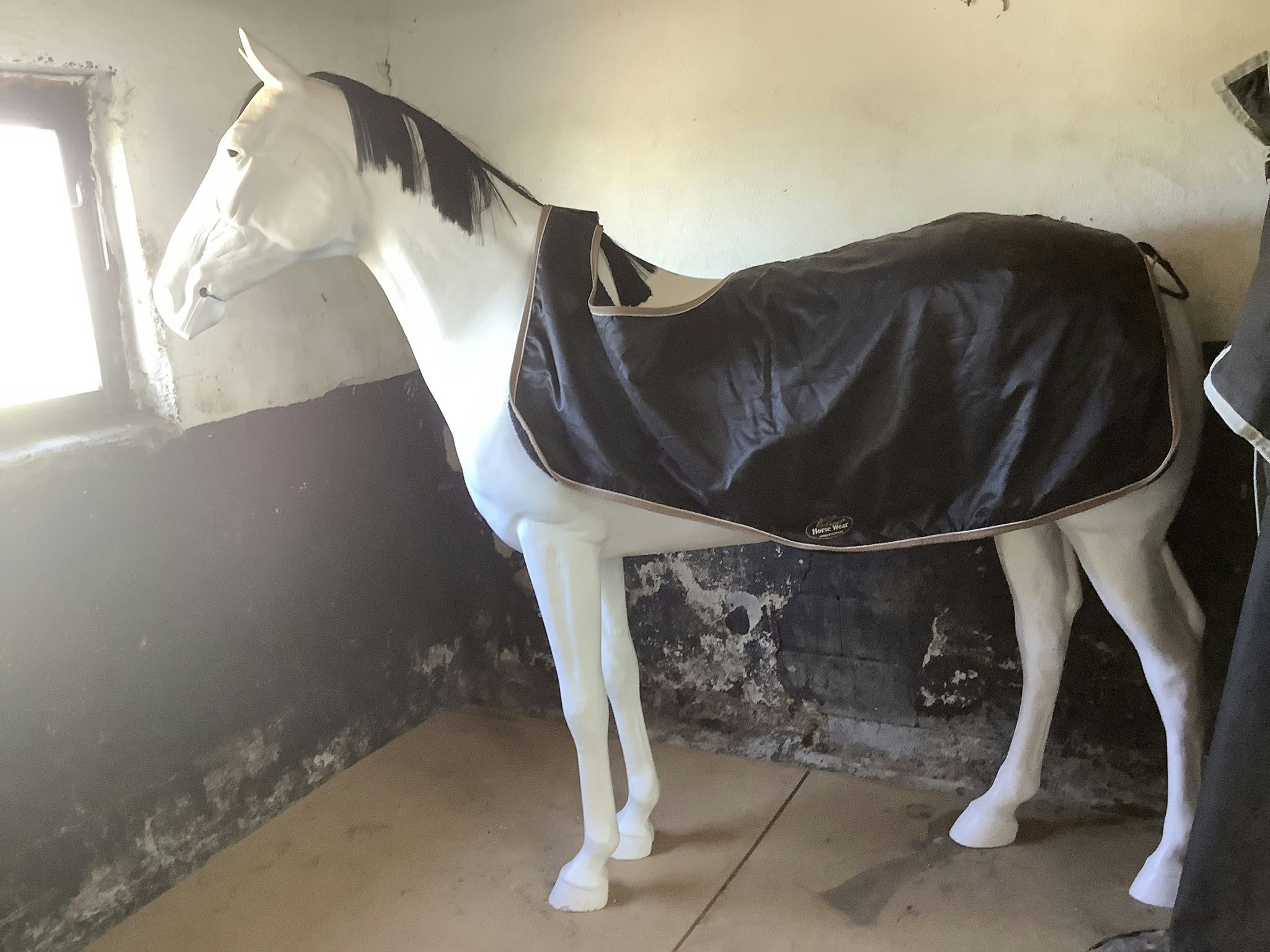 Skrittäcke,exklusive horsewear,F,svart,en reva insidan och en liten utsidan,fodrat