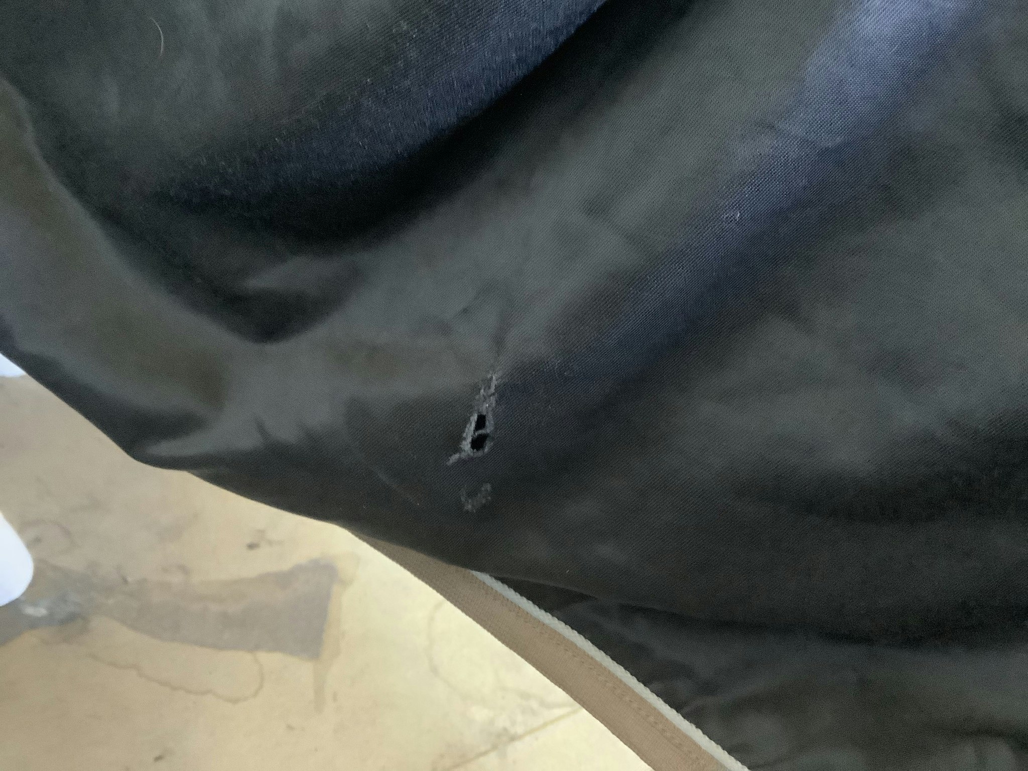 Skrittäcke,exklusive horsewear,F,svart,en reva insidan och en liten utsidan,fodrat