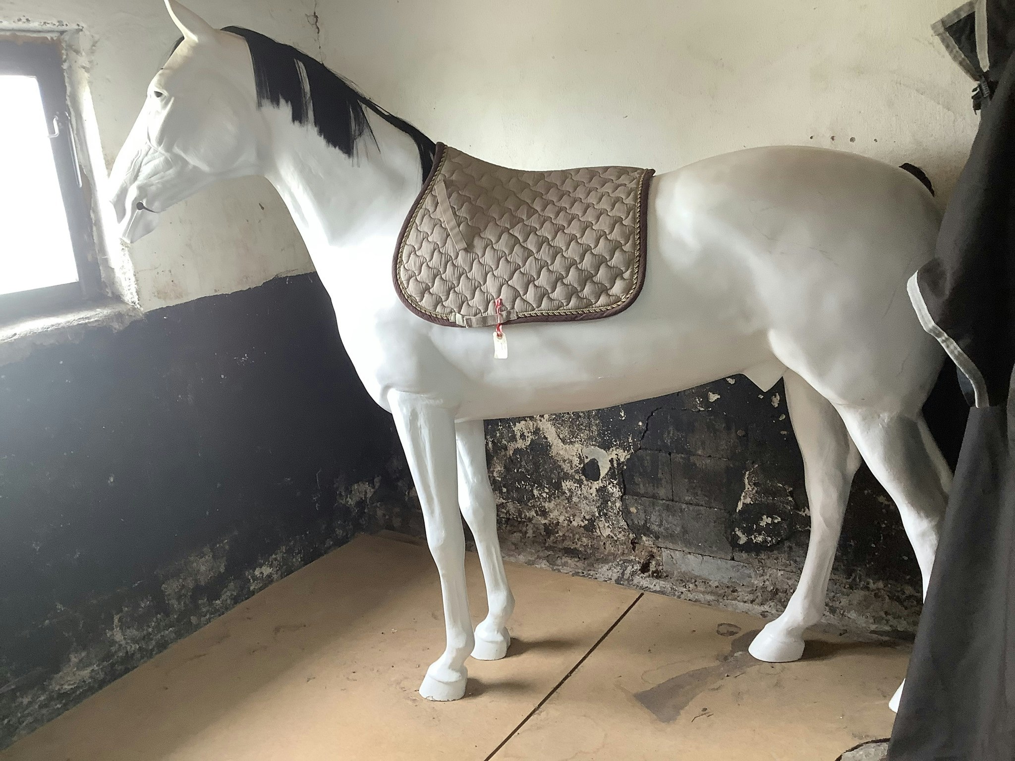 Schabrak brunt,17”,hopp