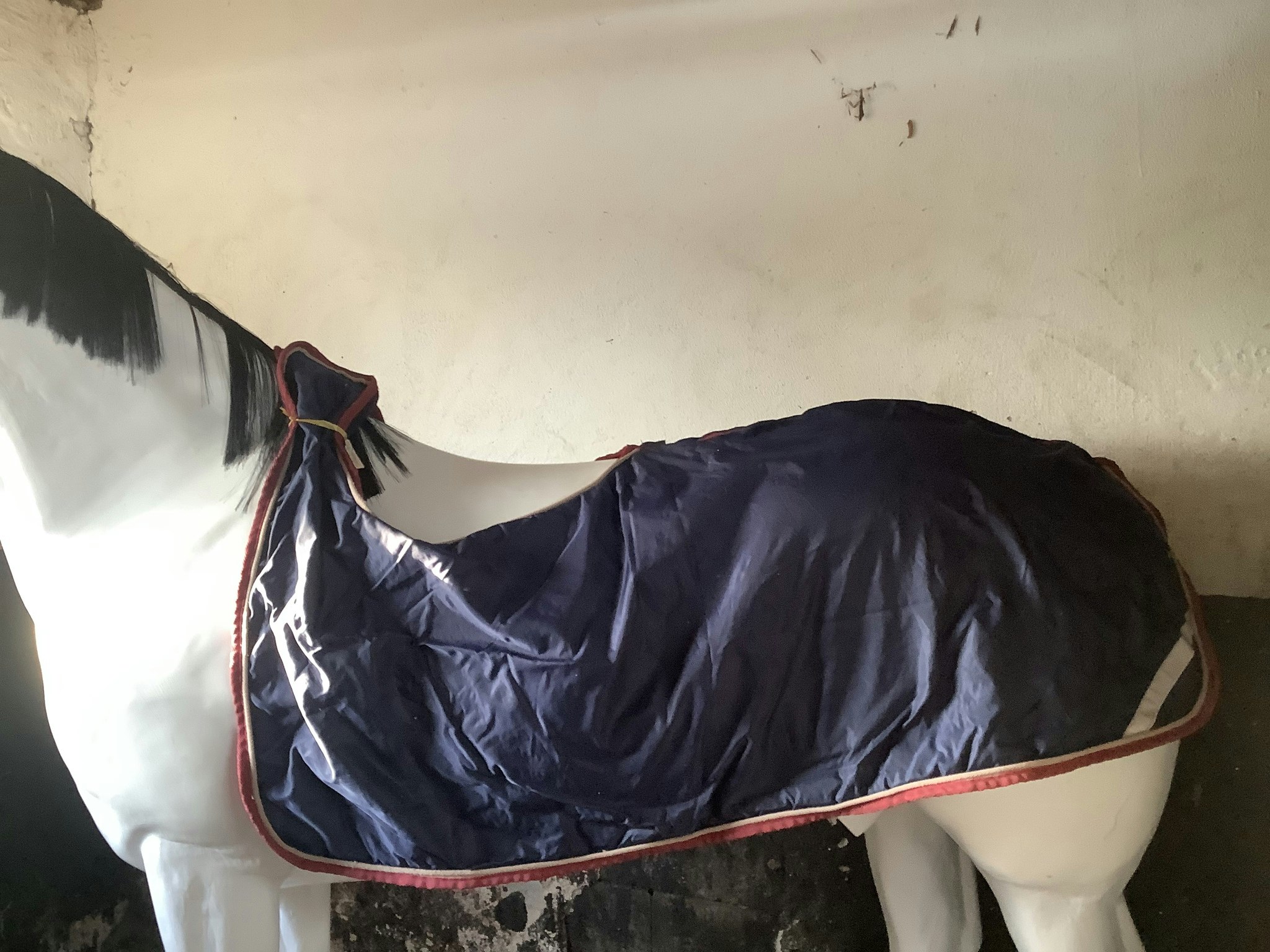Horsepol skrittäcke,blå,F