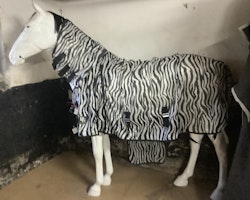 Flugtäcke zebra med hals,145 cm
