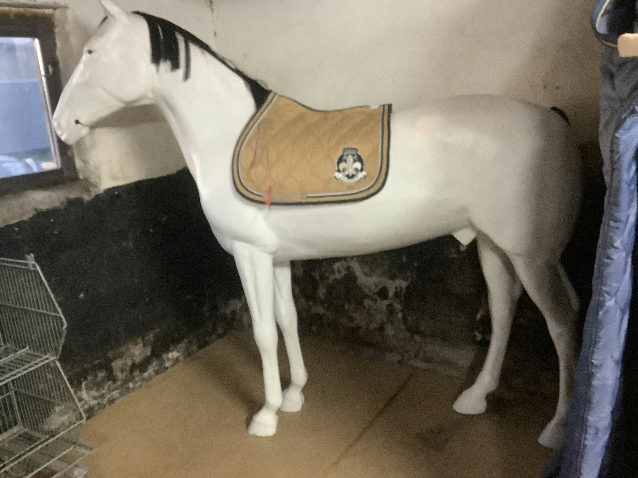 HV polo schabrak,hopp,beige,F