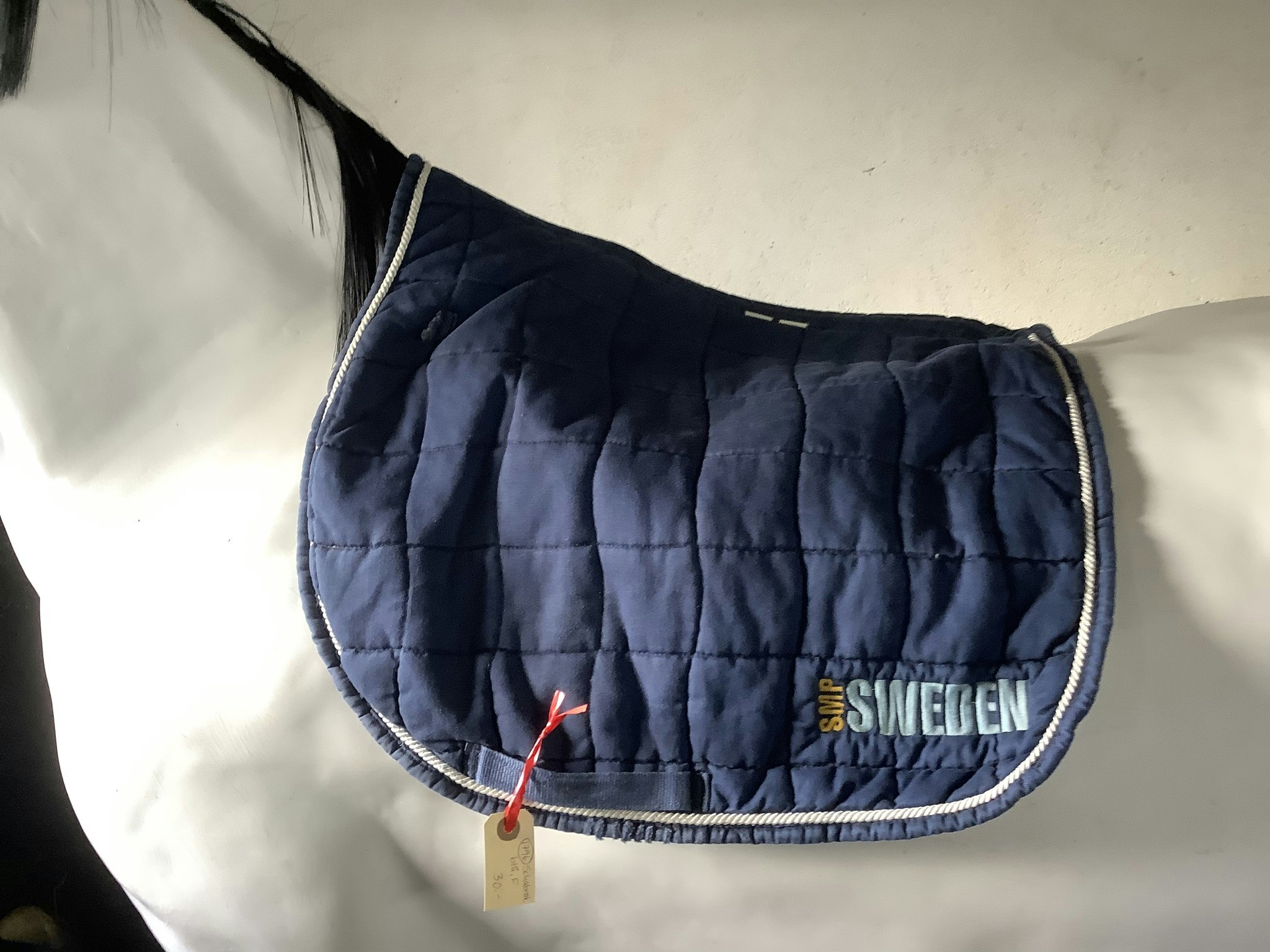 Schabrak,blå,F