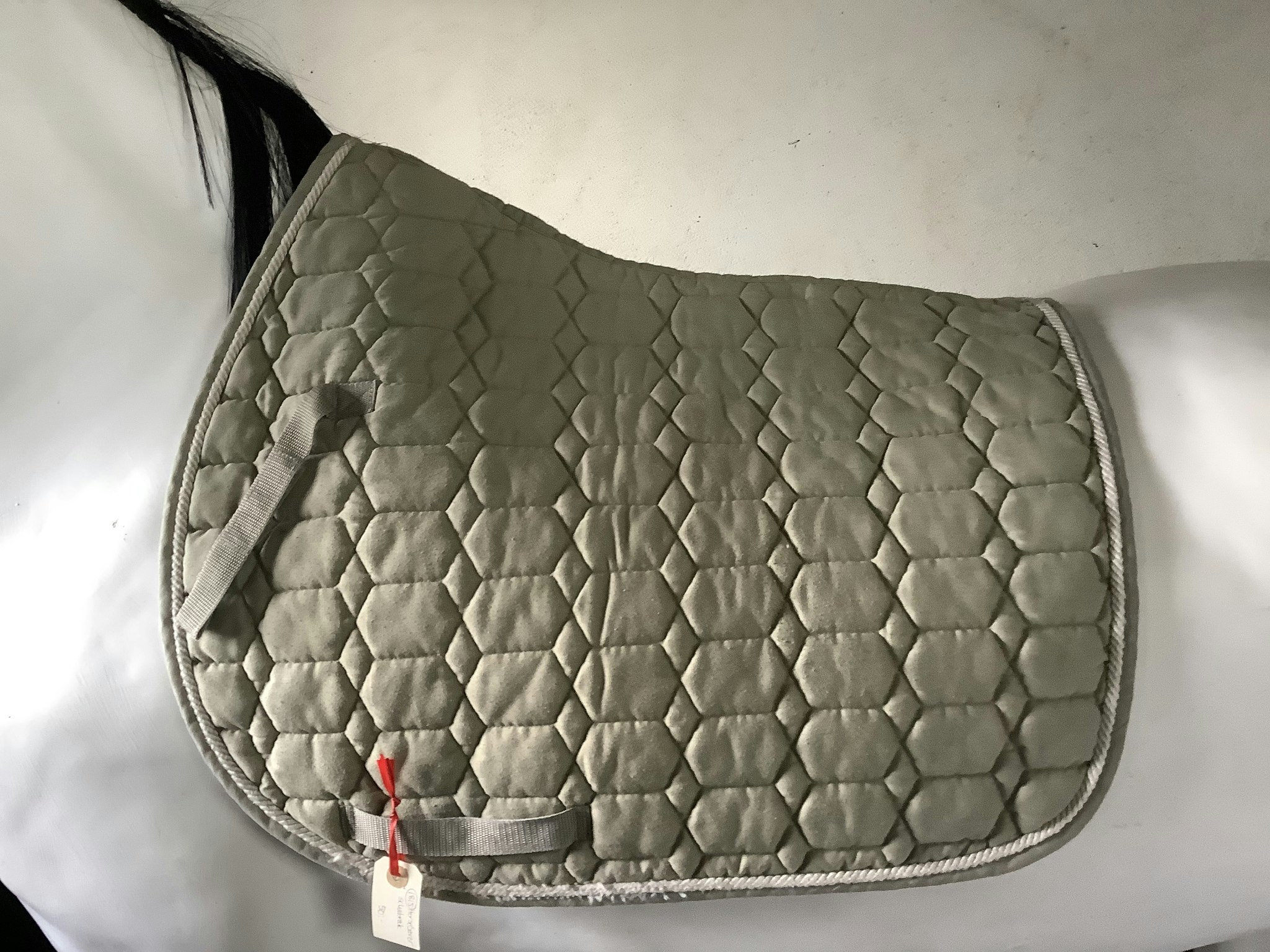 Horse saver schabrak,F