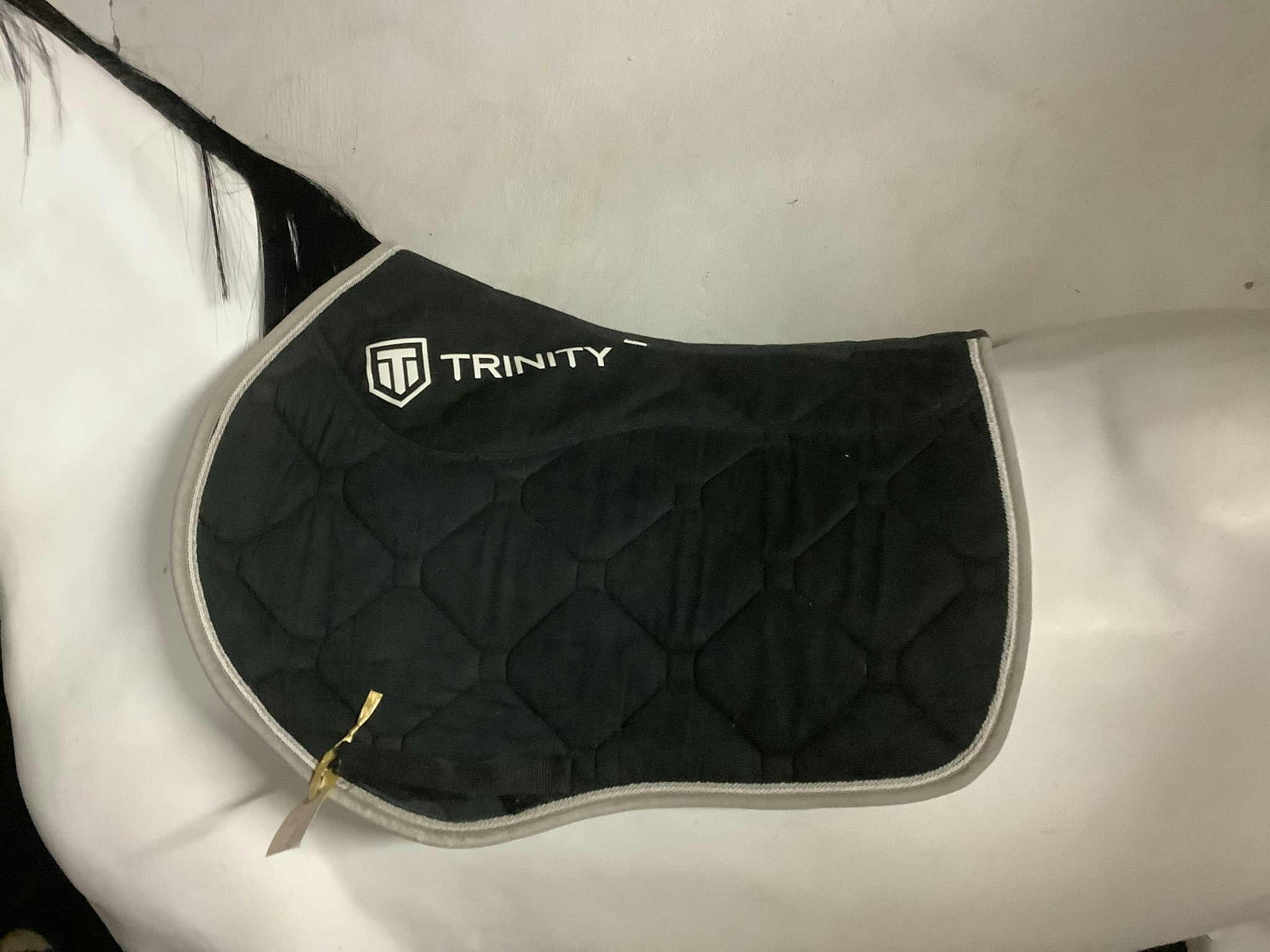 Trinity schabrak,hopp,F