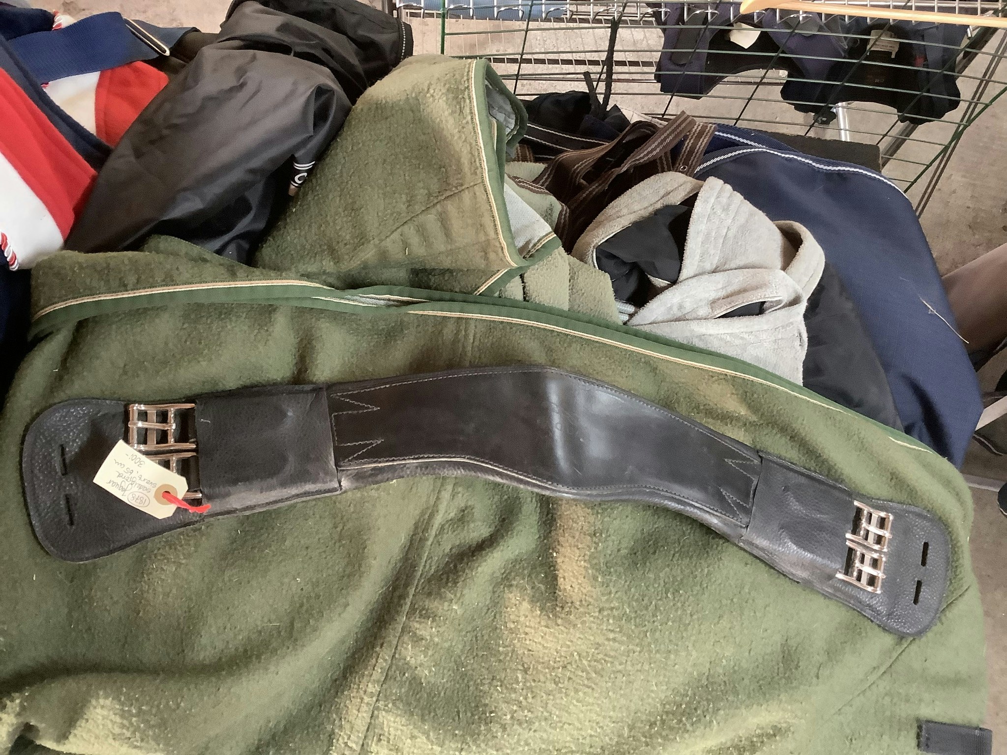 Jaguar sadelgjord svart, 65 cm