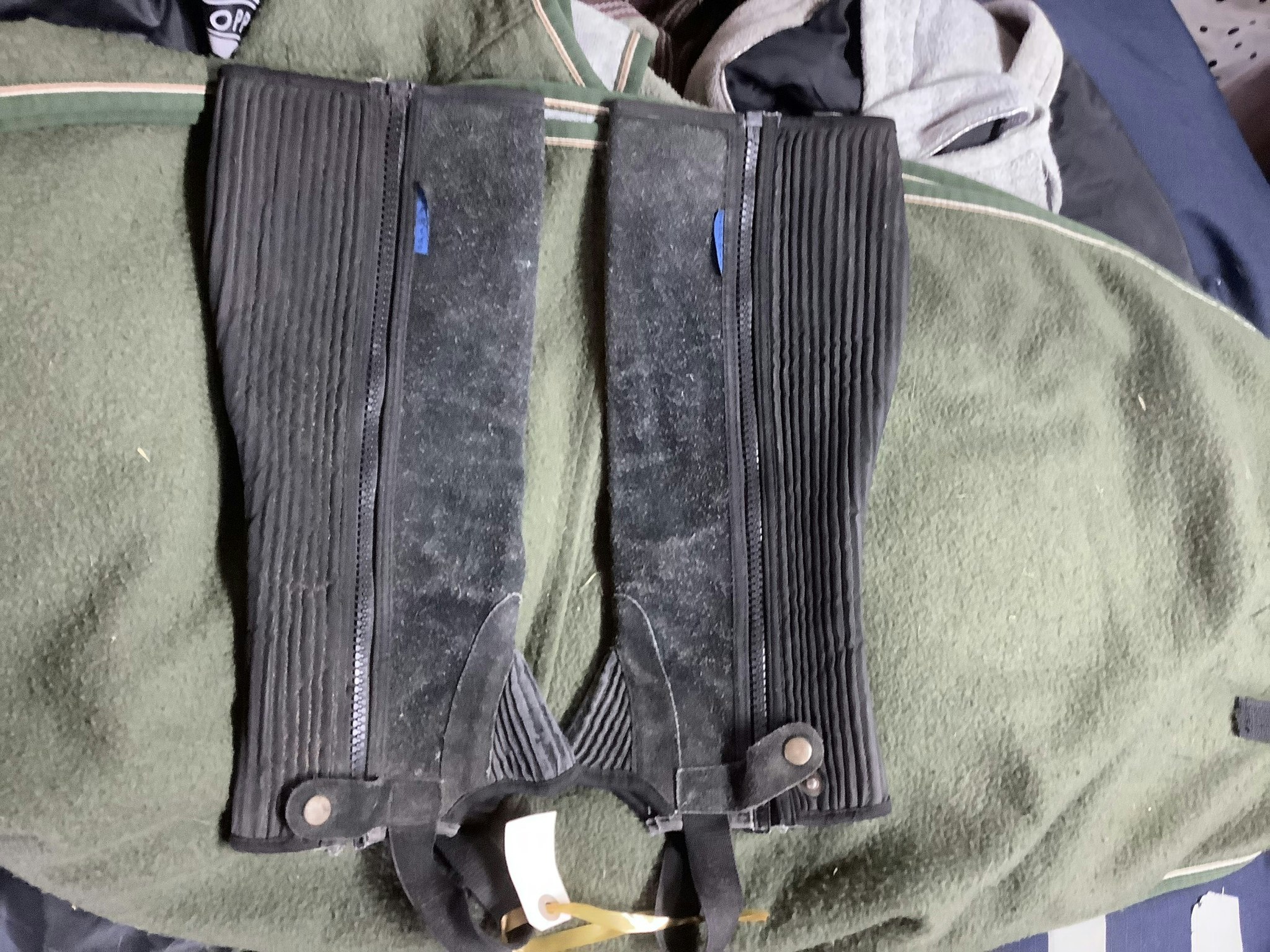 Topride shortchaps,svart,m