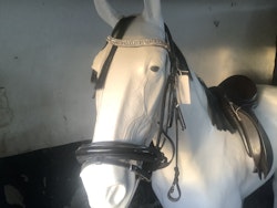 Träns MGS horse wear,stl XF,svart nytt