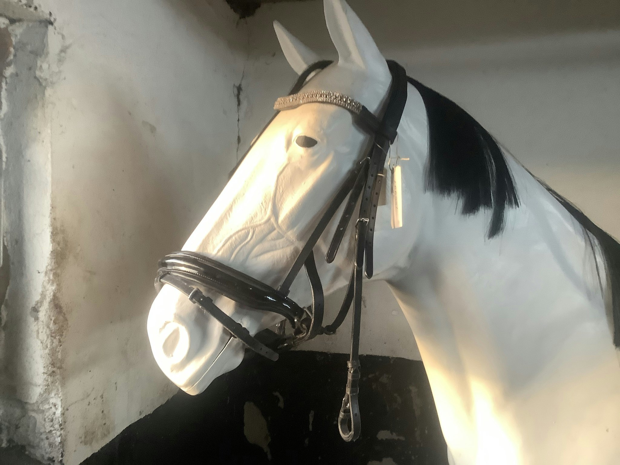 Träns MGS horse wear,stl XF,svart nytt