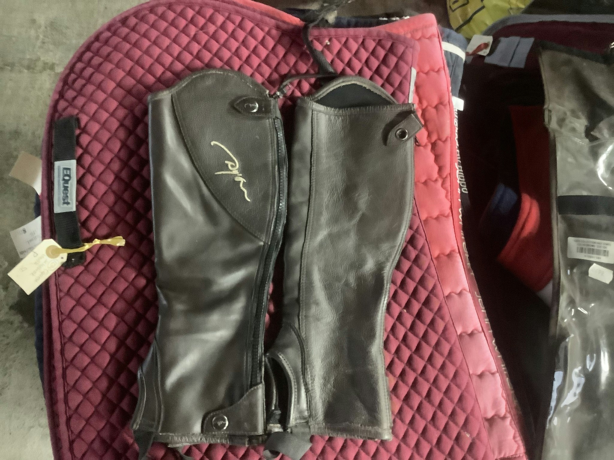 Dy`on chaps bruna size 12H
