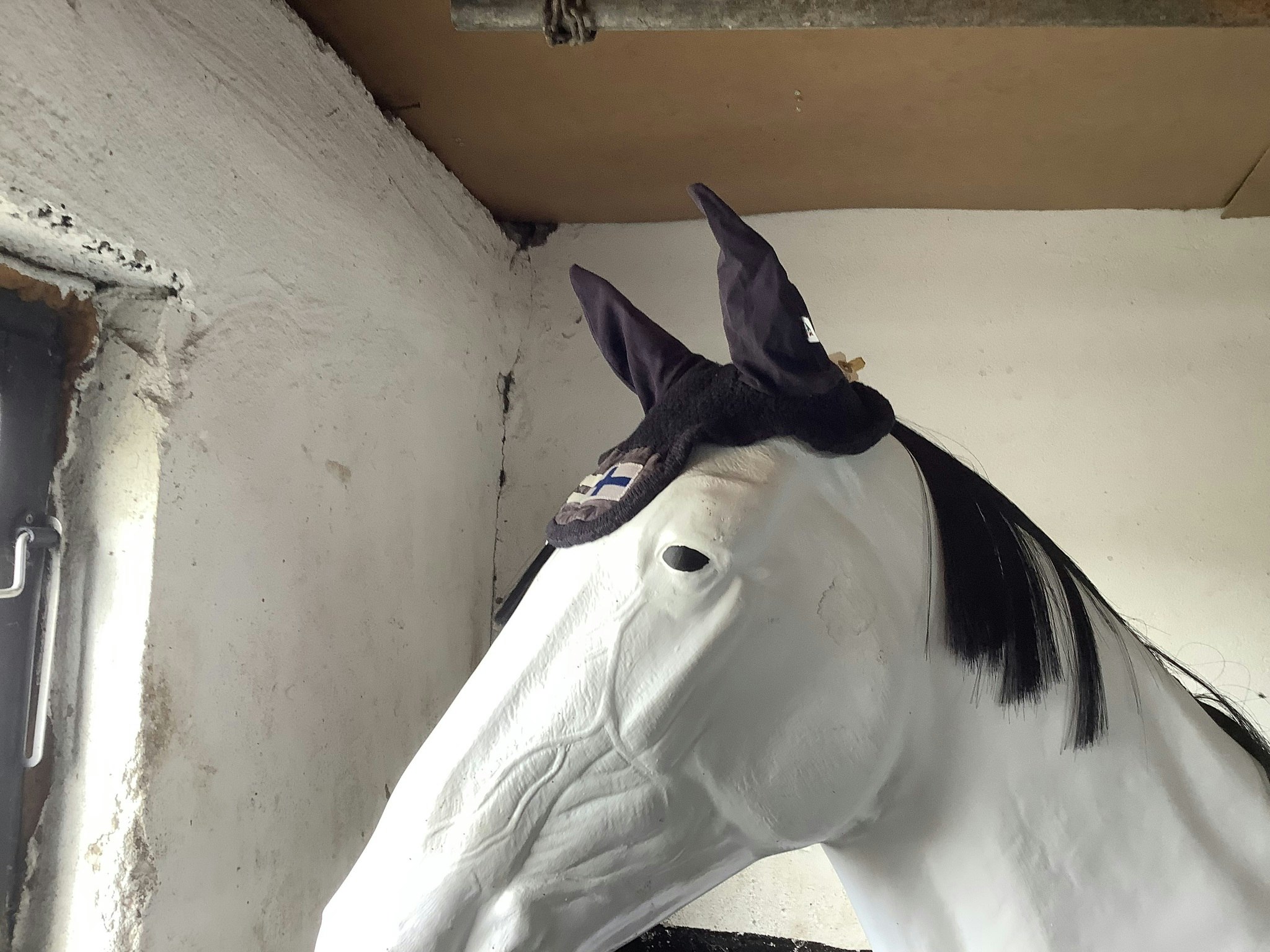 Equiline huva,blå med finsk flagga,F
