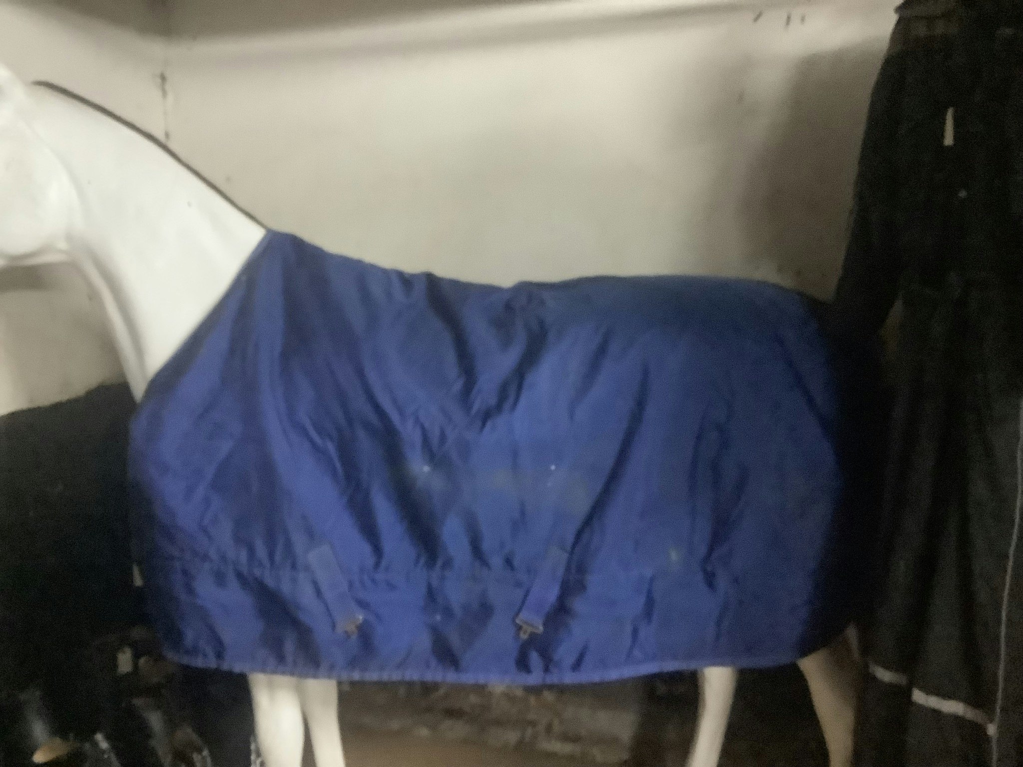 Bucas vintertäcke,ca 200 gr,145 cm,blå,otvättat,fattas ett bogknäppe