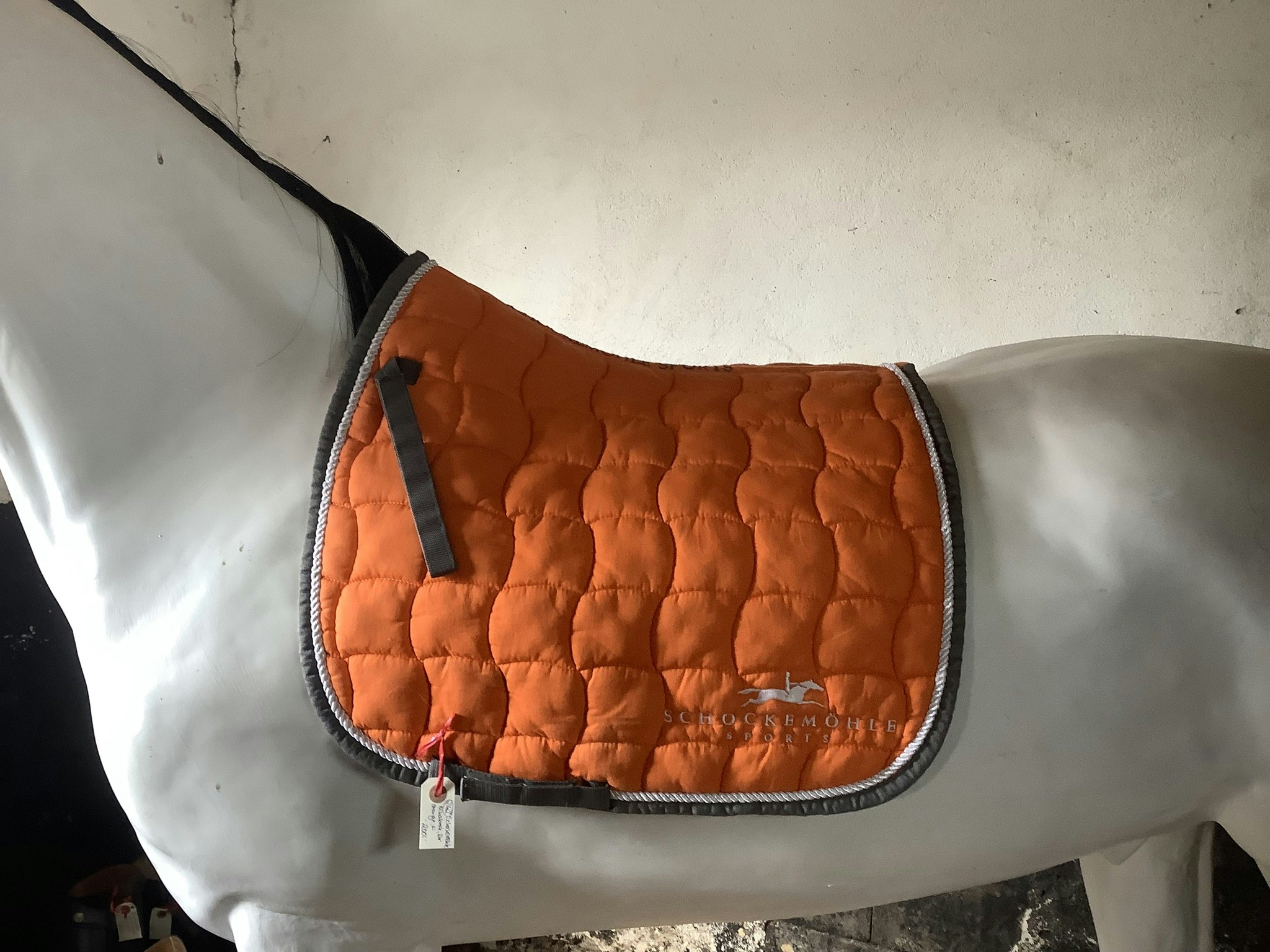 Schockemöhle schabrak, dr,orange,F