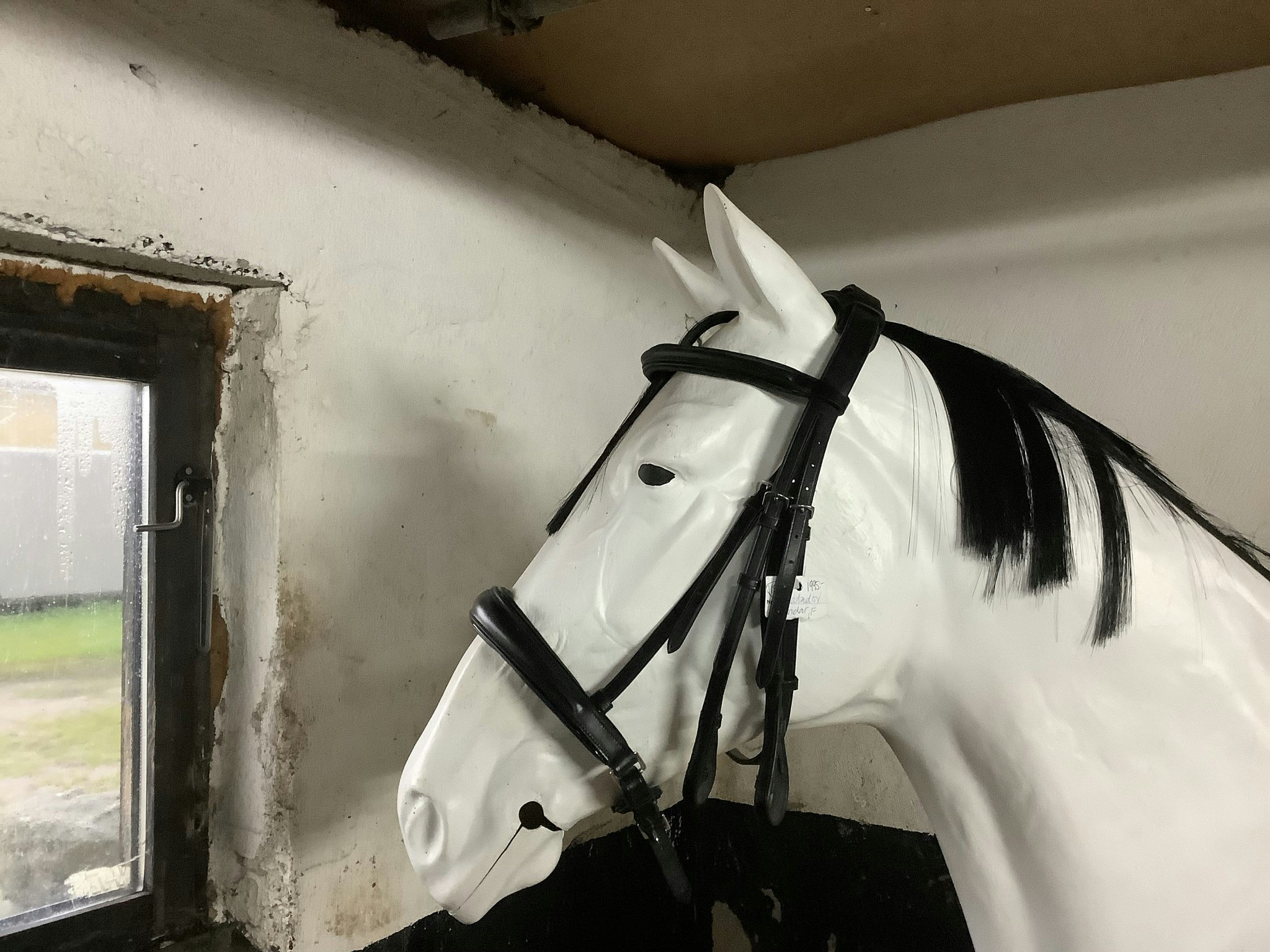 MH matador kandarträns,dressyr,svart,F,nytt