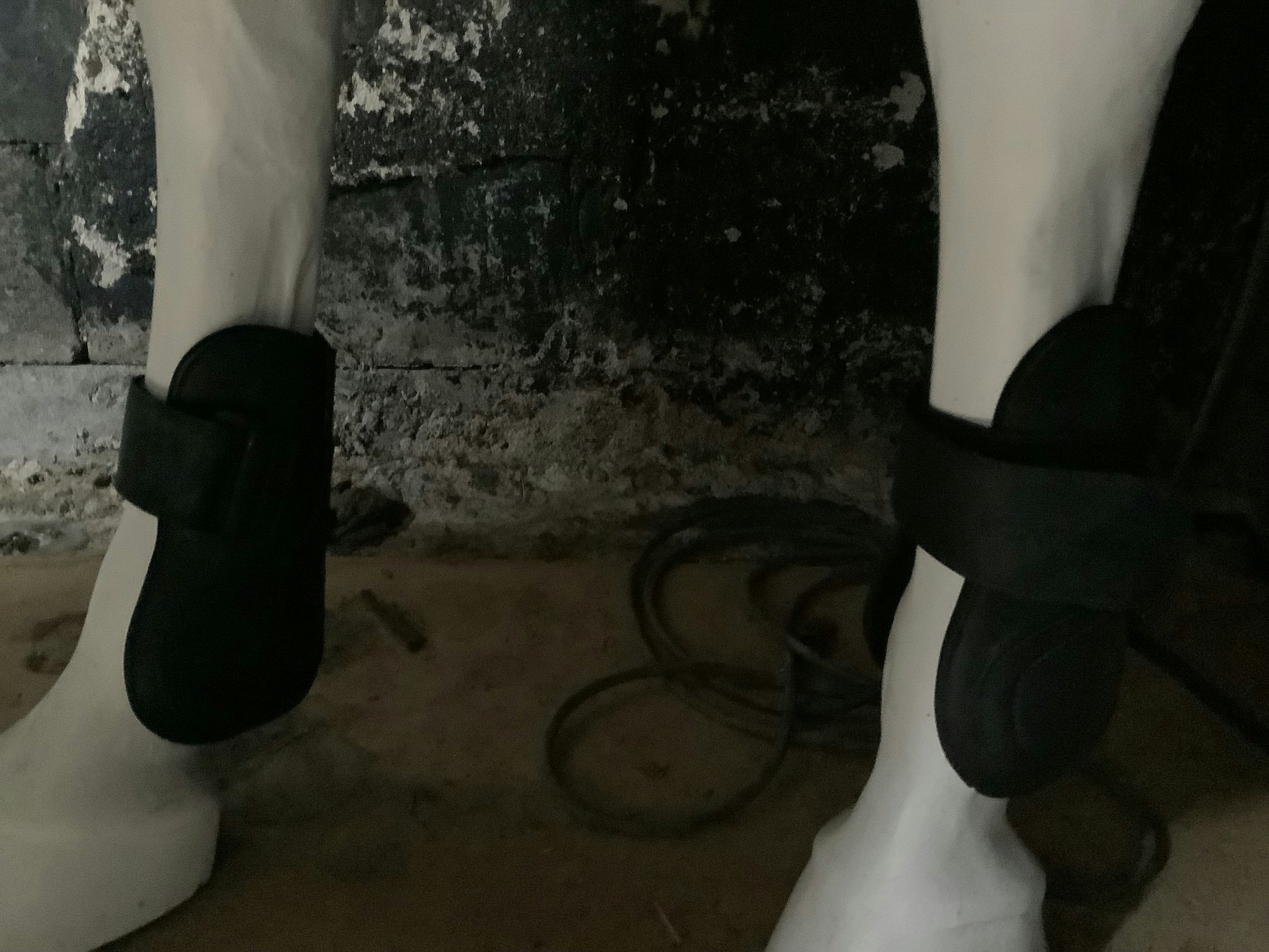 Globus ordo equester benskydd,bak,svarta,L,nya