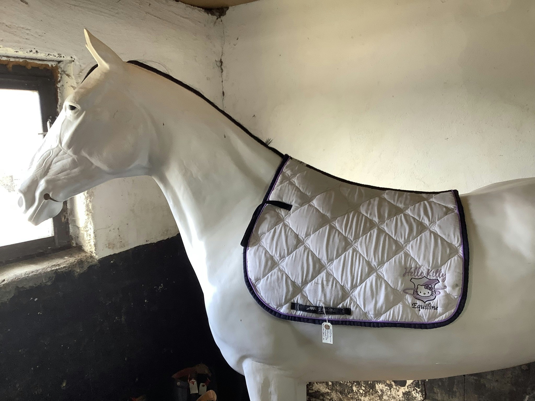 Equiline hello kitty schabrak, vitt med lila,liten fläck,F