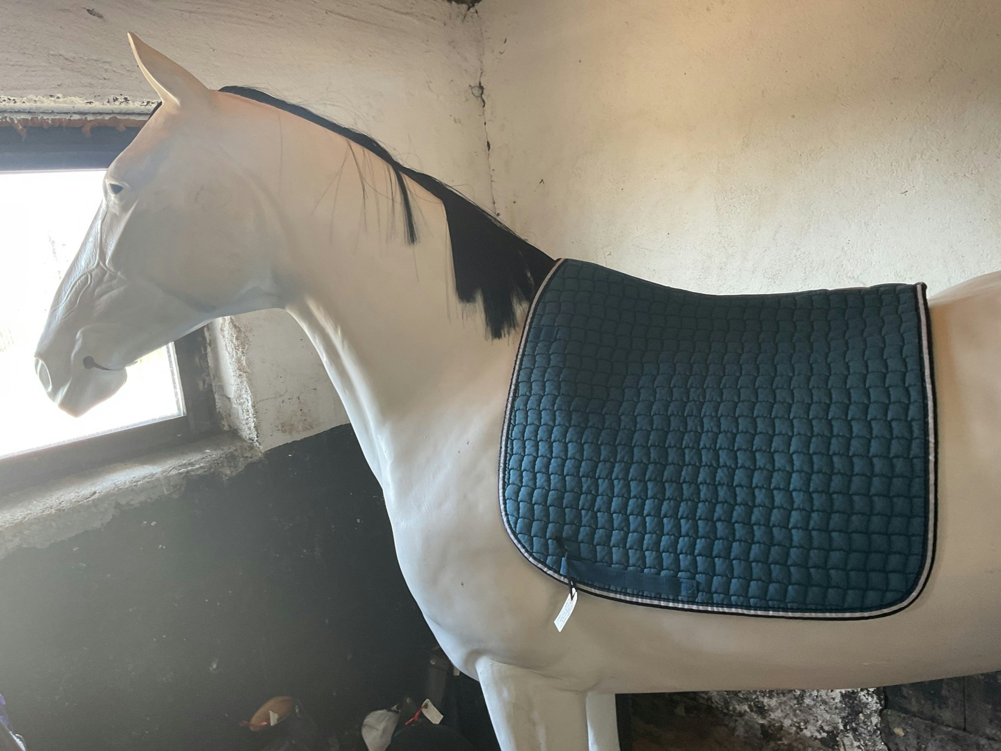 Eskadron schabrak dr, f, slitet under baktill