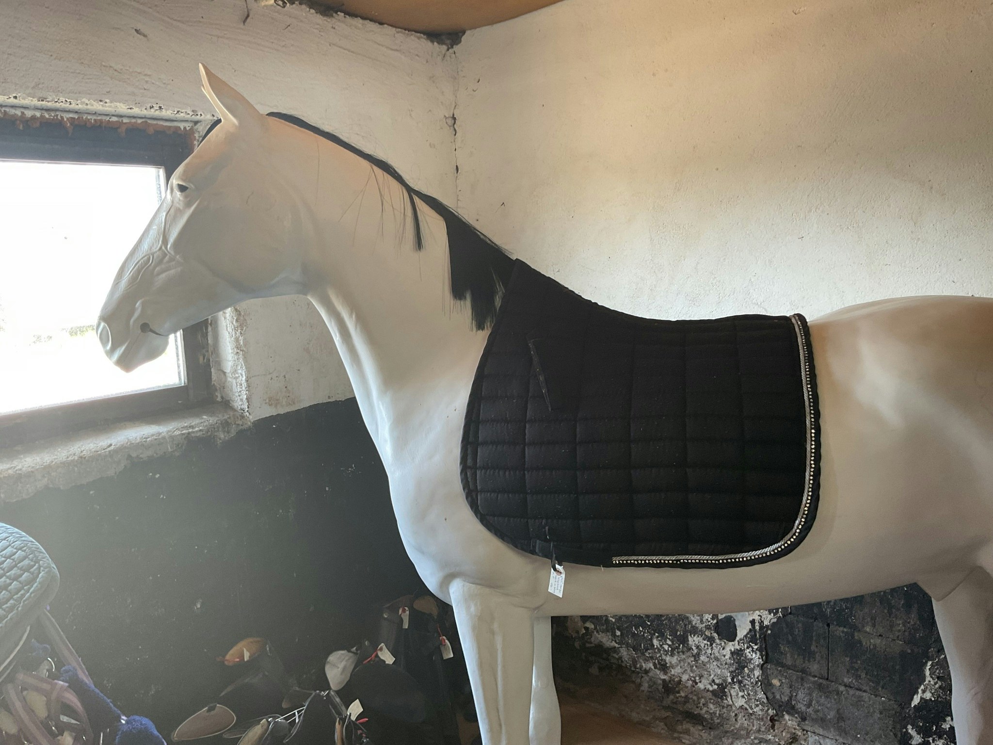 Horze schabrak svart med bling, dr, f