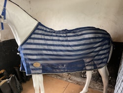 Thermostar svettäcke, blått 125 cm
