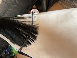 Neck rope svart,nytt