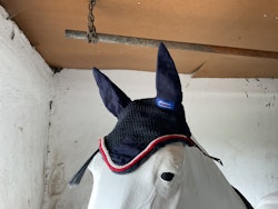 John whitaker,huva,blå,f