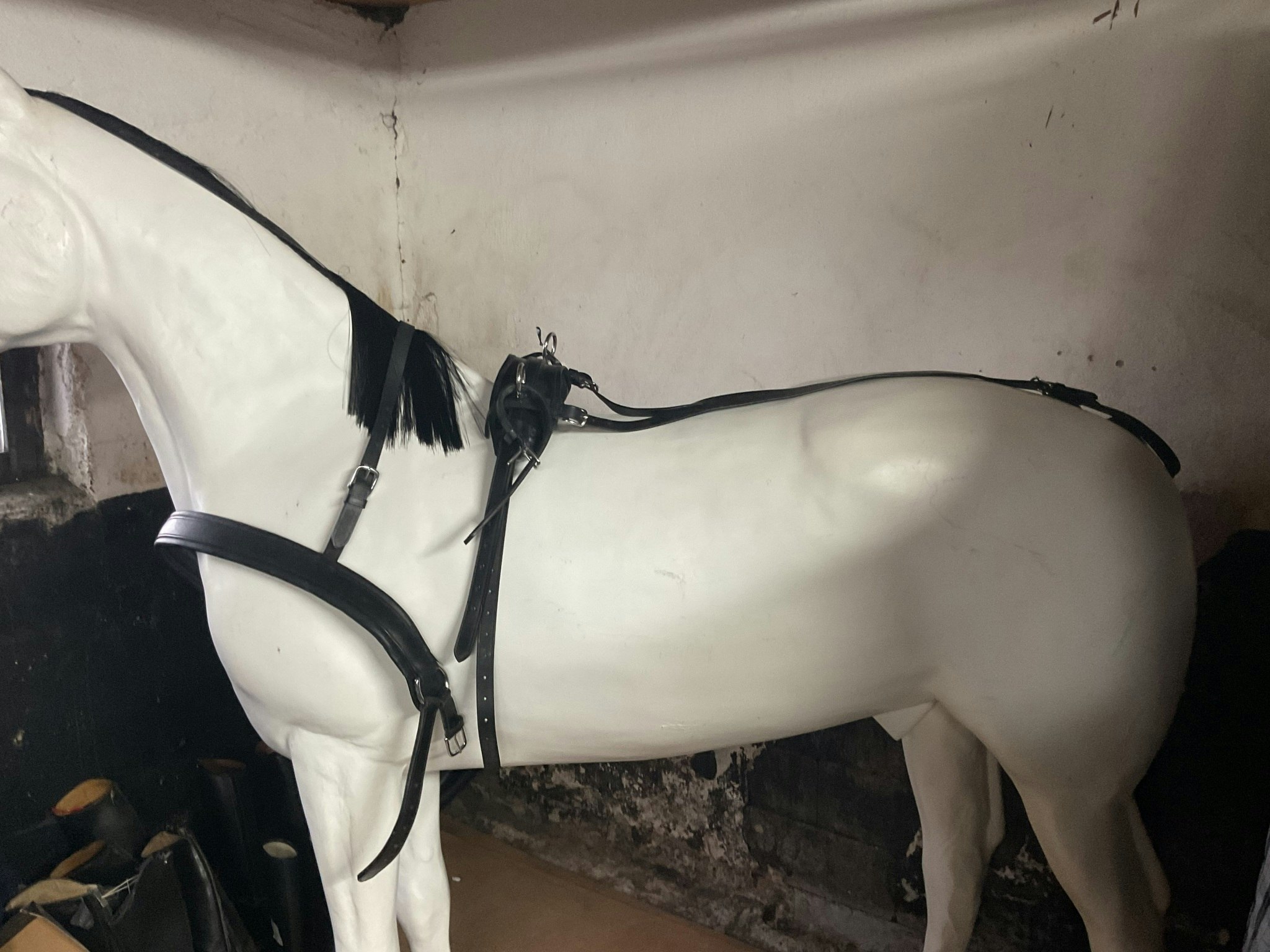 Sele ponny(105 cm),svart,nyskick