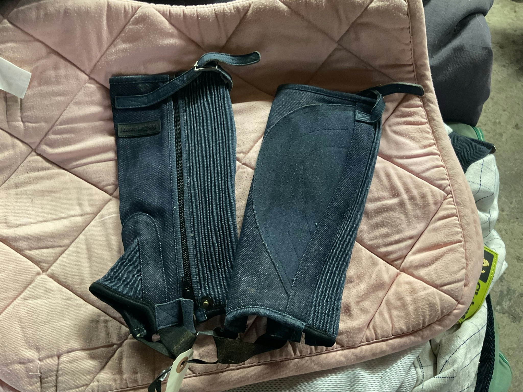 Jacson shortchaps,jeans,xs