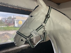 Trop ride,grimma,grönvitrandig,ny,f