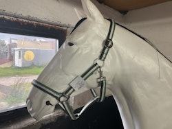 Trop ride grönvitrandig grimma,ny,f
