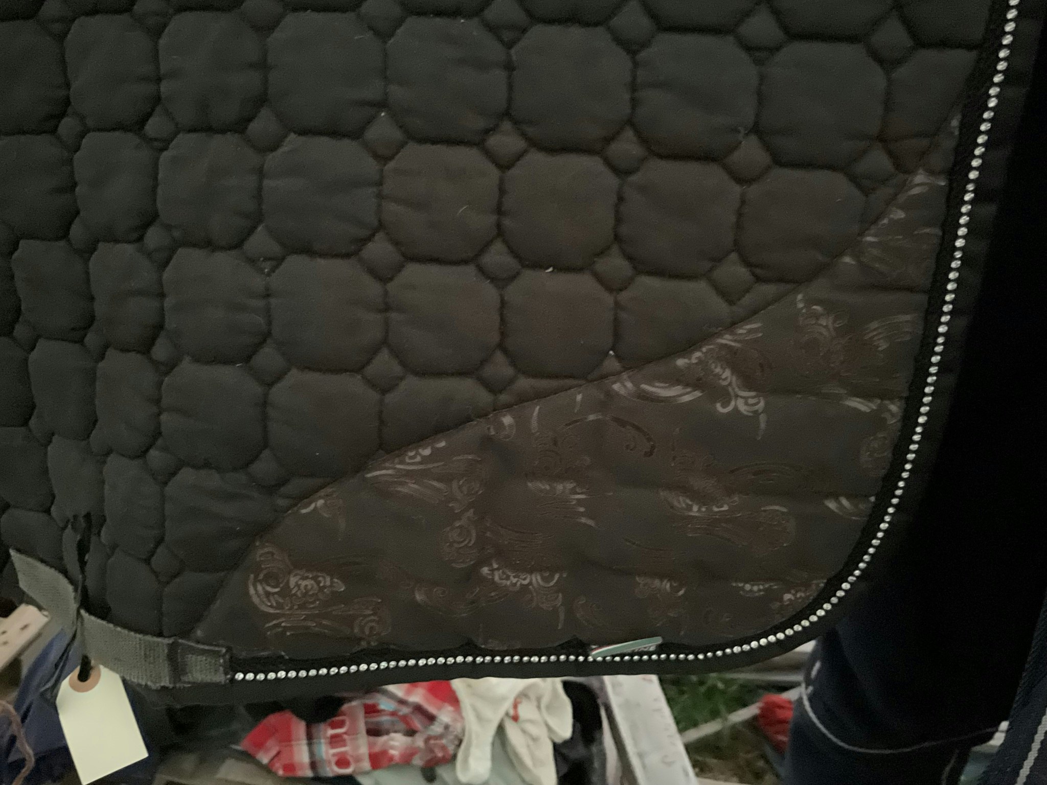 Equiline schabrak, svart, f