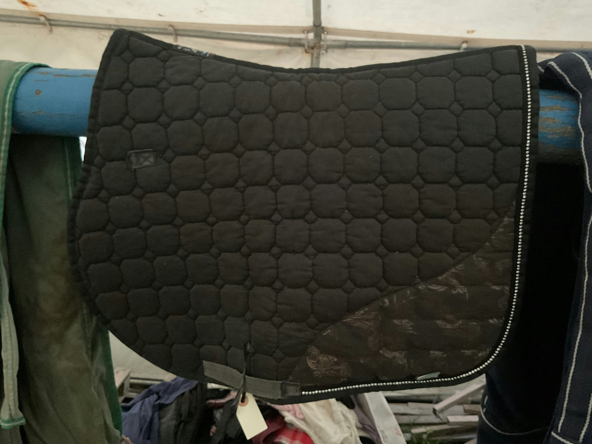 Equiline schabrak, svart, f