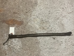 CH pannband brunt med stenar 42 cm