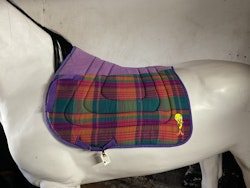 Schabrak lilarandigt, cob/f