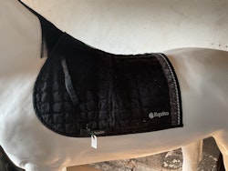 Equito schabrak, svart,f