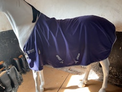 Amigo stalltäcke, 0 gr, 115 cm, lila