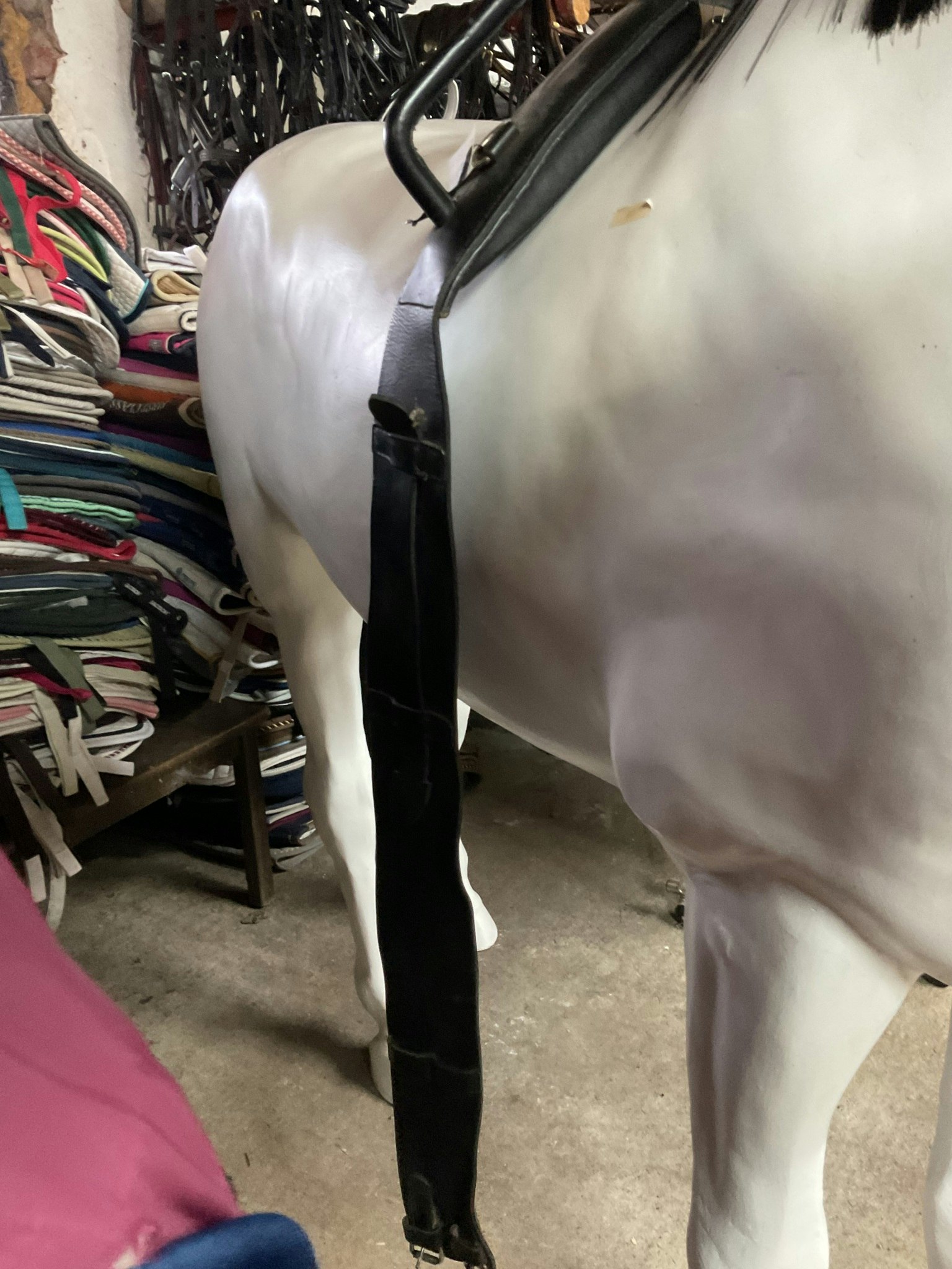 Voltigegjord ca 220 cm lång