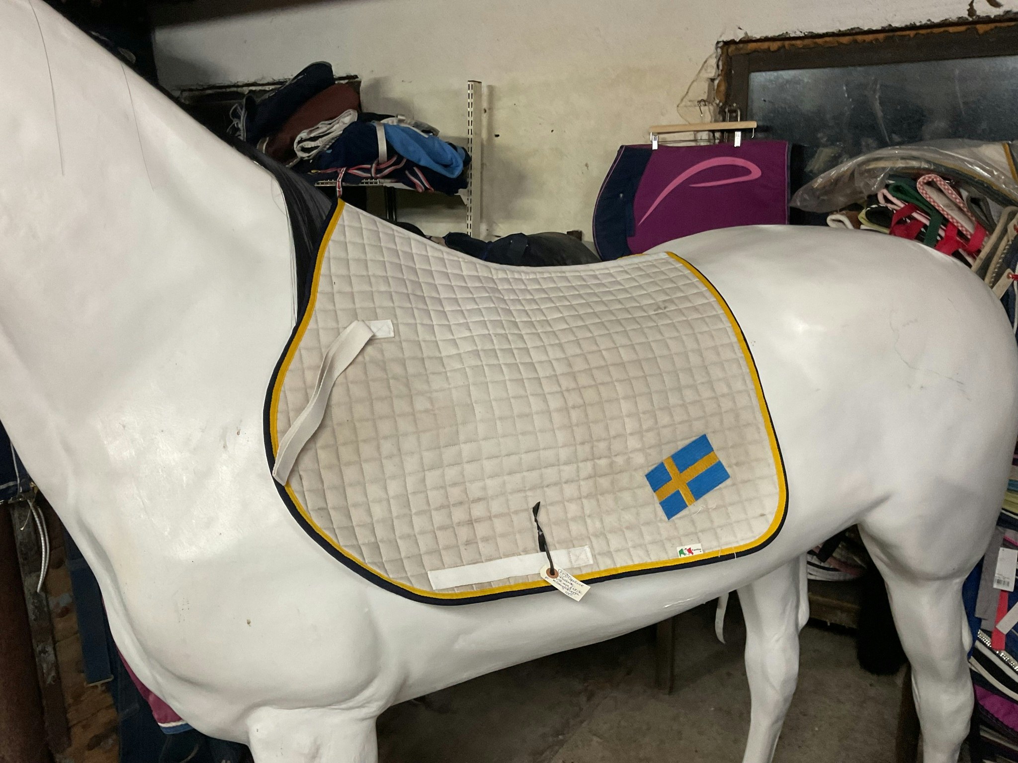 Equiline schabrak, vitt, ngn fläck, med sverigeflagga, F