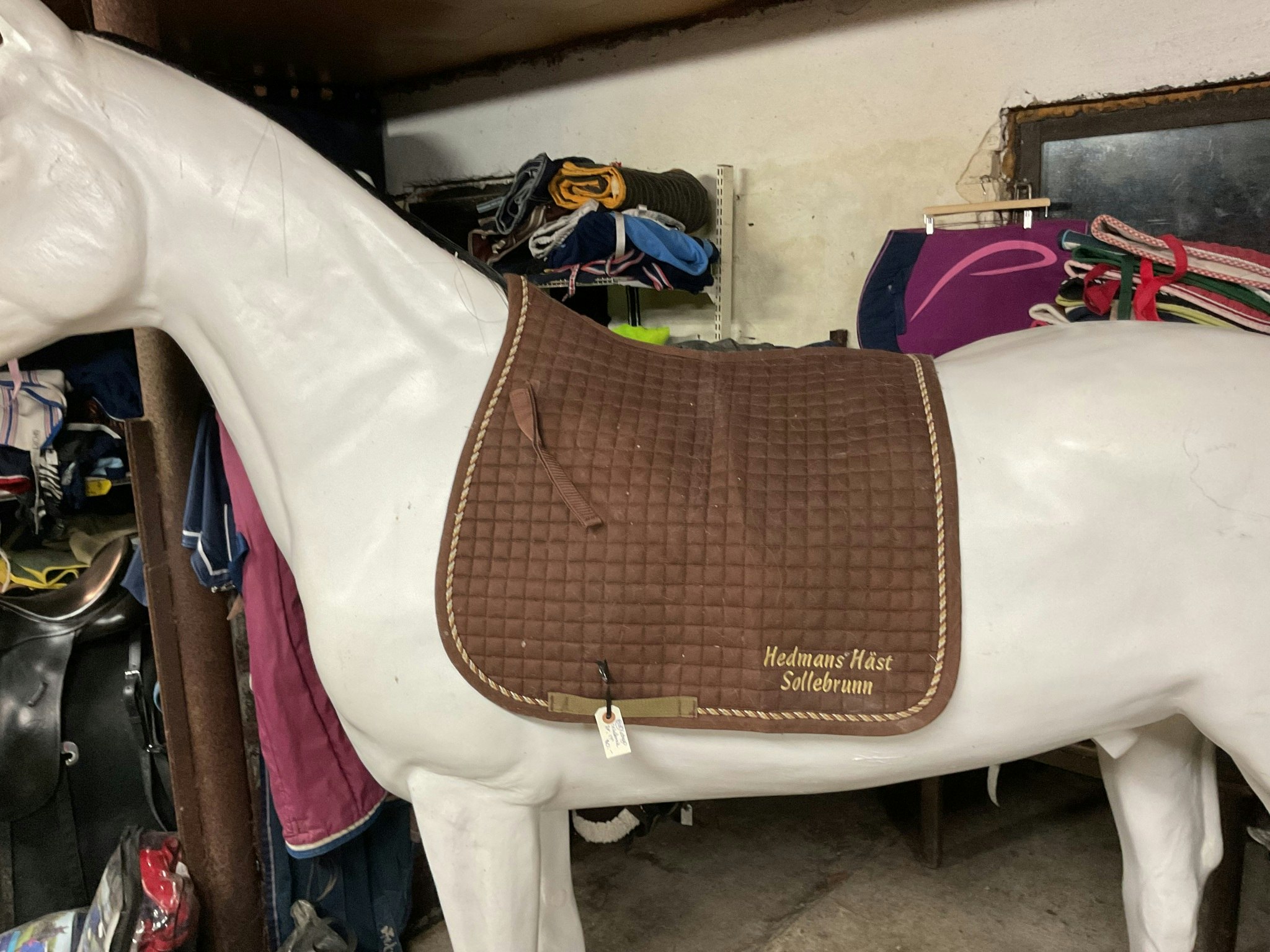 Catago schabrak, dr, 17”