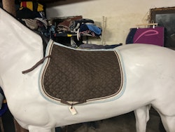 Equitheme, schabrak, brunt, f